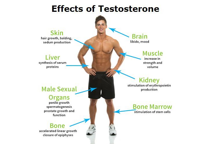 Testosterone therapy for testosterone deficiency