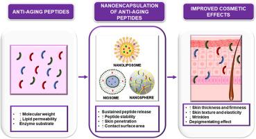 Benefits of Peptides for Skin and ‌Muscle⁤ Recovery