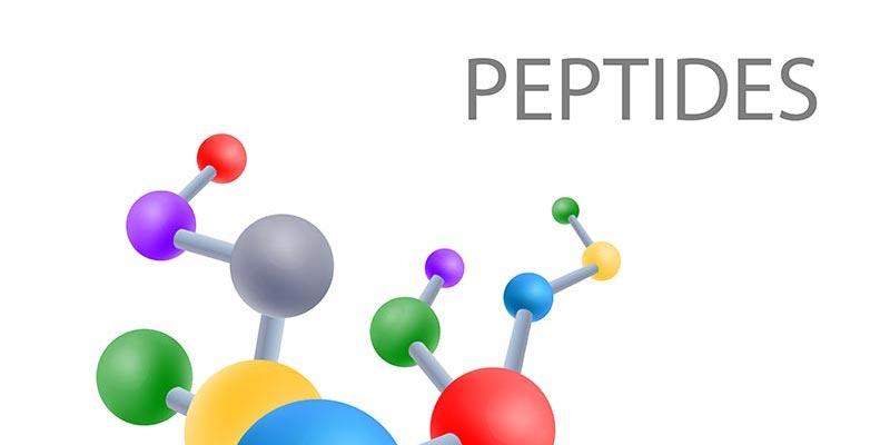 Key Peptides That ⁢Enhance Muscle Mass and Recovery