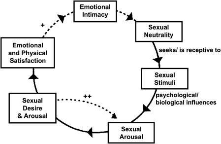 Testosterone therapy for sexual function