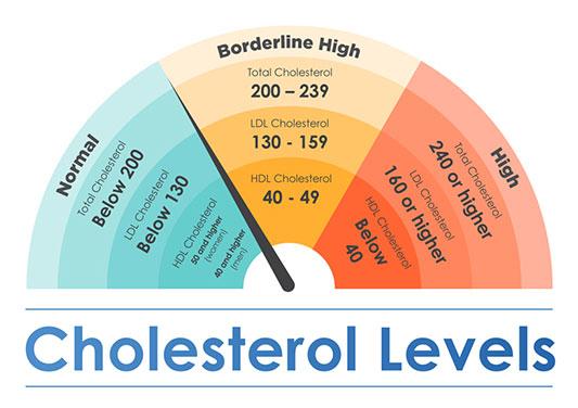 Testosterone therapy and cholesterol levels