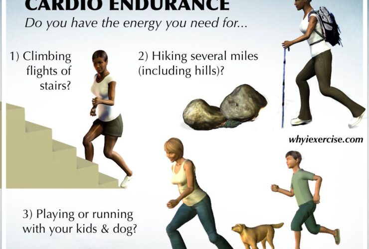 Testosterone therapy for physical endurance