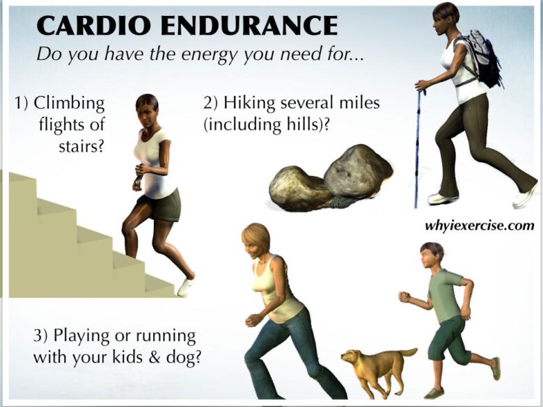 Testosterone therapy for physical endurance