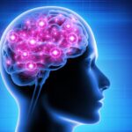 Testosterone therapy and brain health