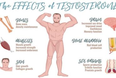 Testosterone therapy side effects