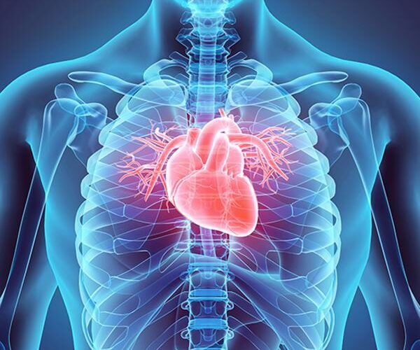 Testosterone therapy for cardiovascular health