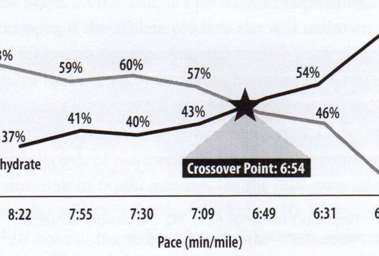 Testosterone therapy for metabolic efficiency