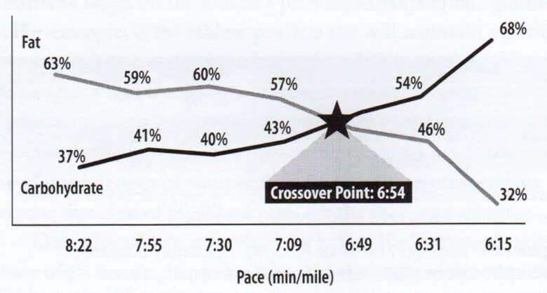 Testosterone therapy for metabolic efficiency